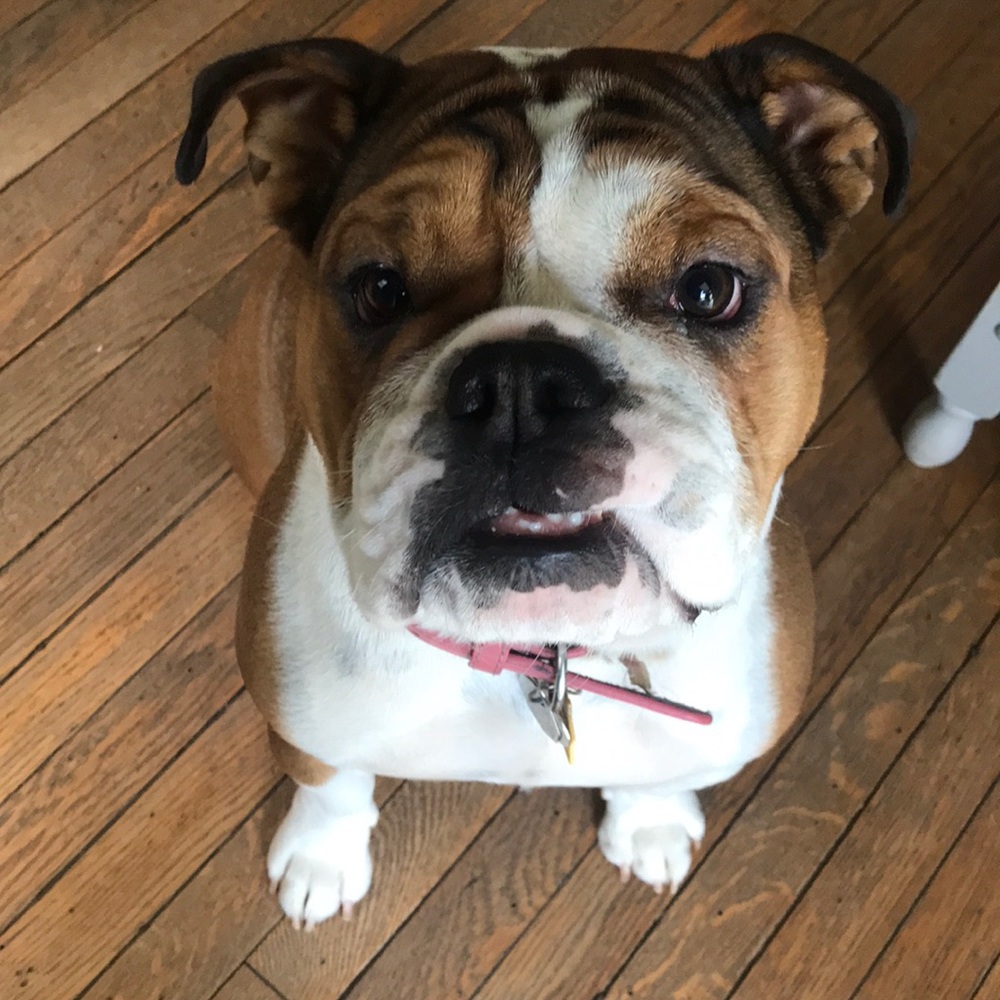 Meet your Posher, Nina